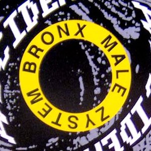 Bronx Male Zystem のアバター