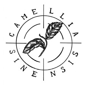 Avatar for Camellia Sinensis