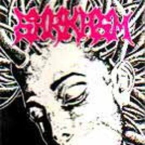 Incubated Mind
