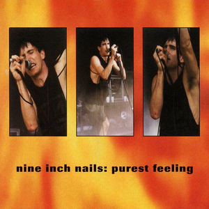 Purest Feeling by Nine Inch Nails