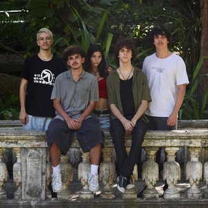 Avatar for ouriço