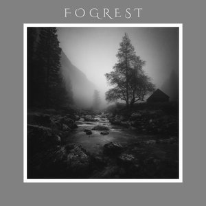 Echoes of the North