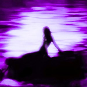 Lotus Waters
