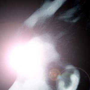 Avatar for Metrocide