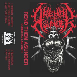 Cerebral Labyrinth