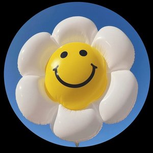 FeLiZDia