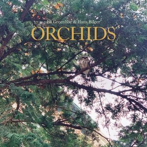 Orchids