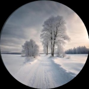 Avatar for Tundrafrid