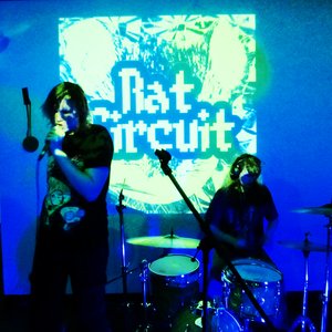 Avatar for Rat Circuit