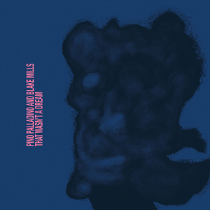 That Wasn't A Dream album cover