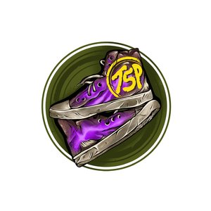 Avatar for The Shoegaze Project