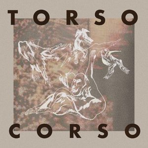 Torso1