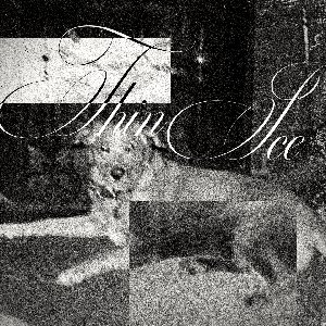 Thin Ice - Single