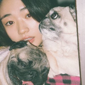 Avatar for にしな