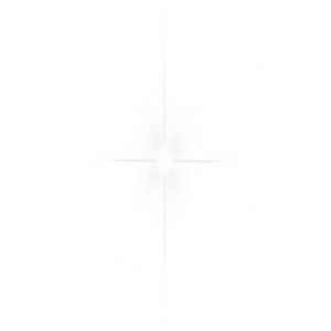 Avatar for 1ally