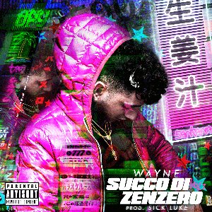 Succo di zenzero
