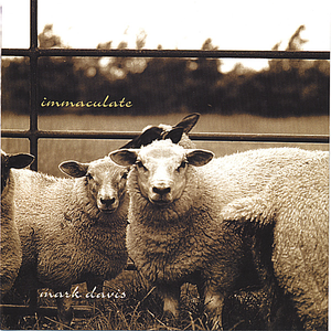 Immaculate album cover