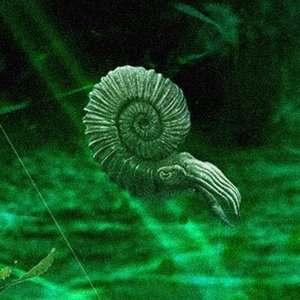 Avatar for 𝖓𝖝𝖊𝖝𝖒𝖝𝖔