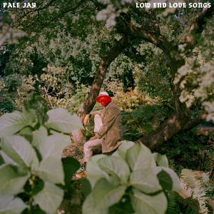 Low End Love Songs by Pale Jay