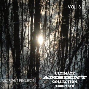 Ultimate Ambient Collection 2006-2010 (Vol. 3)