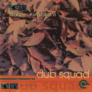 Dub In Ambient