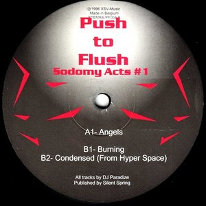 Аватар для Push To Flush