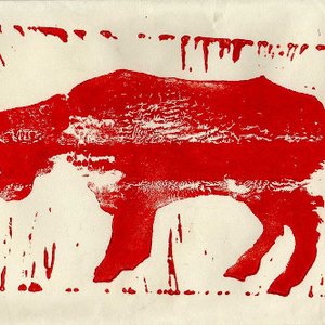 an ox