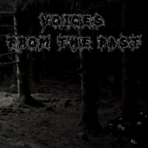Avatar for Voices From The Past