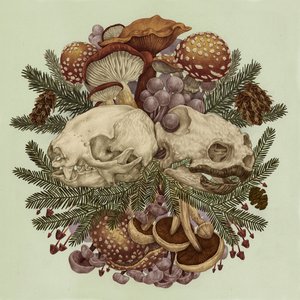 Sloth & Turtle - EP