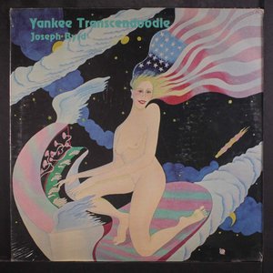 Yankee Transcendoodle
