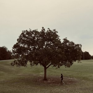 Avatar di Natalie Tanabe