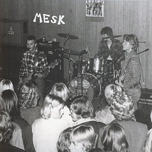 Mesk