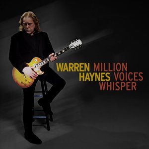 Warren Haynes - Go Down Swinging Lyrics - Zortam Music