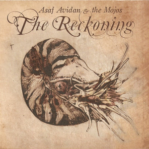 The Reckoning by Asaf Avidan & The Mojos