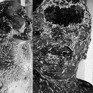 13 Tracks of Vomiting Pus With Maggot Sessions