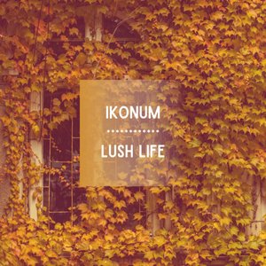 lush life