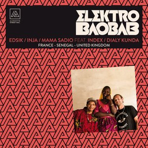 Elektro baobab (France - Senegal - United Kingdom)