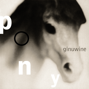 Pony album cover