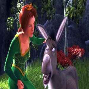 Fiona's Donkey
