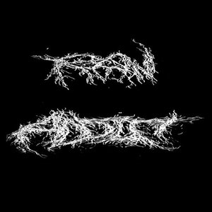 Avatar for raw addict