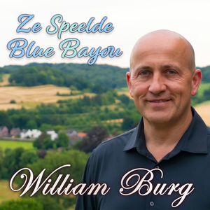 Artwork for Ze Speelde Blue Bayou