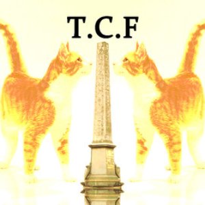 Avatar for Team Cat Food