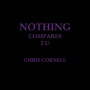 Nothing Compares 2 U