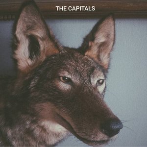 Coyote