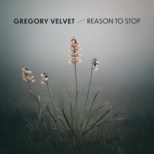 Reason to Stop