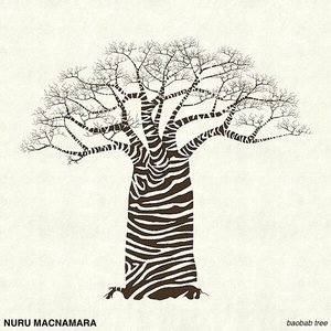 Baobab Tree