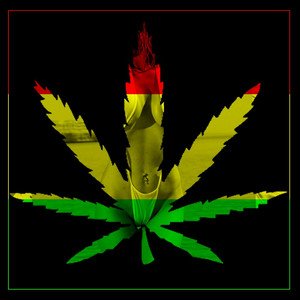 Avatar for Reggae