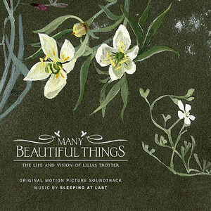 Many Beautiful Things (Original Motion Picture Soundtrack) by Sleeping at Last