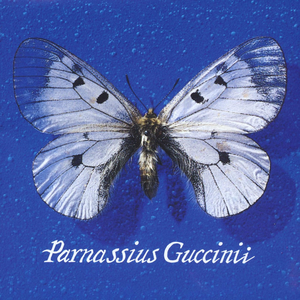 Parnassius Guccinii by Francesco Guccini