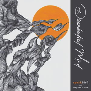 Sparkbird - Disembodied Mind - Zortam Music